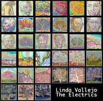 The Electrics by Linda Vallejo