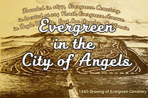 Evergreen in the City of Angels